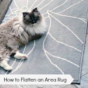 How to Flatten an Area Rug