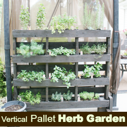 Free Standing Pallet Herb Garden Diy Show Off Diy Decorating
