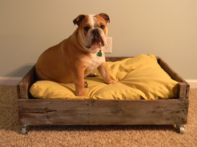 DIY dog pallet bed