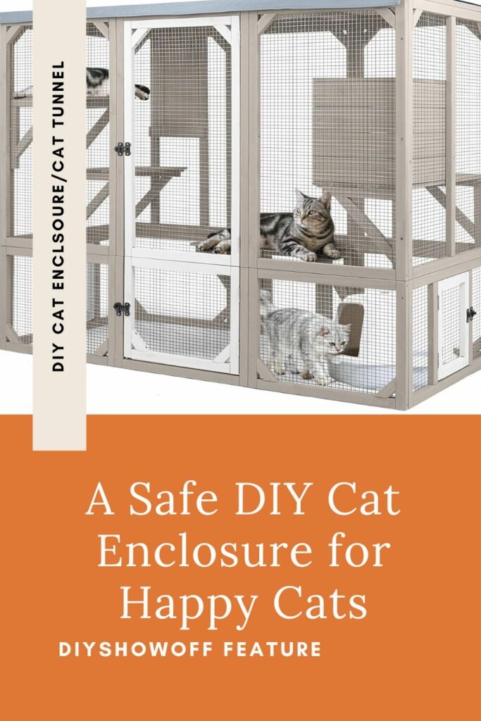 Cat Enclosure with cats