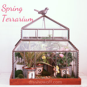 spring terrarium