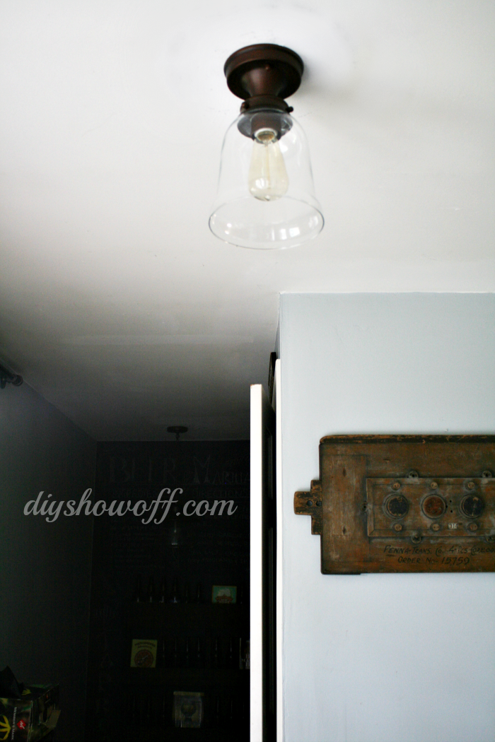 Diy Globe Light Fixturediy Show Off, Hanging Light Bulb Cover