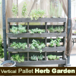 free-standing-vertical-pallet-herb-garden