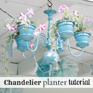 chandelier-planter-feature