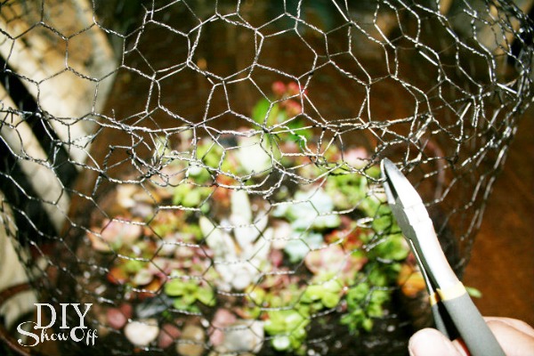 DIY wire succulent garden tutorial