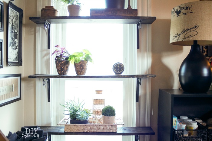 window plant shelves at diyshowoff.com