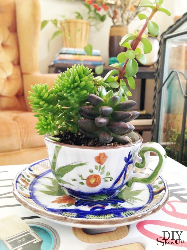 tea cup succulent planters at diyshowoff.com