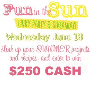 Fun in the Sun link party and giveaway