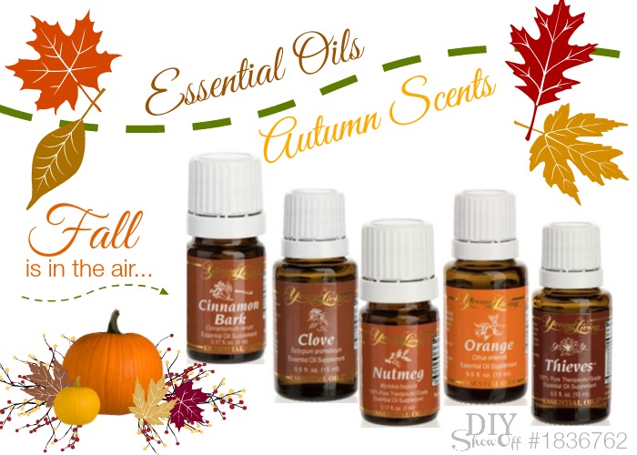 Fall Scents for your home with Essential Oils @diyshowoff