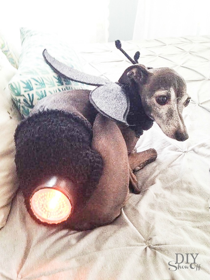 lightning bug halloween dog costume tutorial at diyshowoff #michaelsmakers
