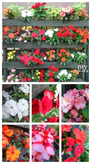 nashville home decorating and remodeling show 2016