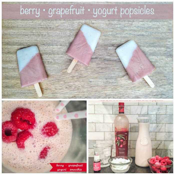 grapefruit berry yogurt frozen treats @diyshowoff