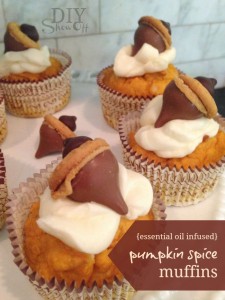 Fall essential oil infused Party Snack IdeasDIY Show Off ™ – DIY