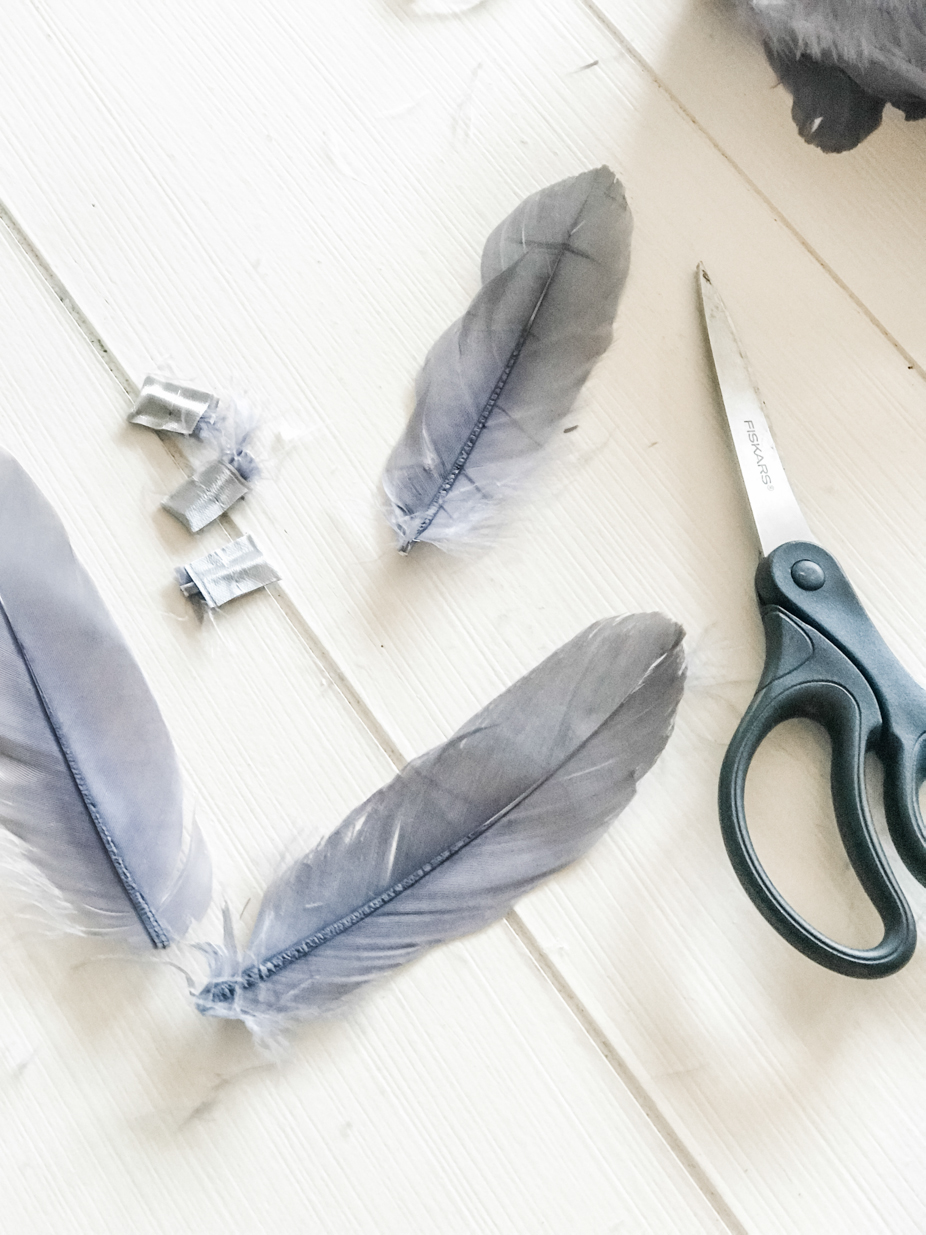 scissors and gray feathers