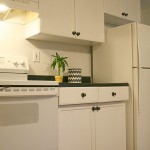 Picture of Untitled Image